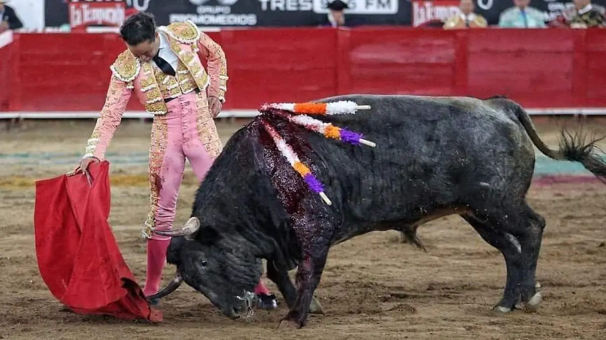 DEP Toros